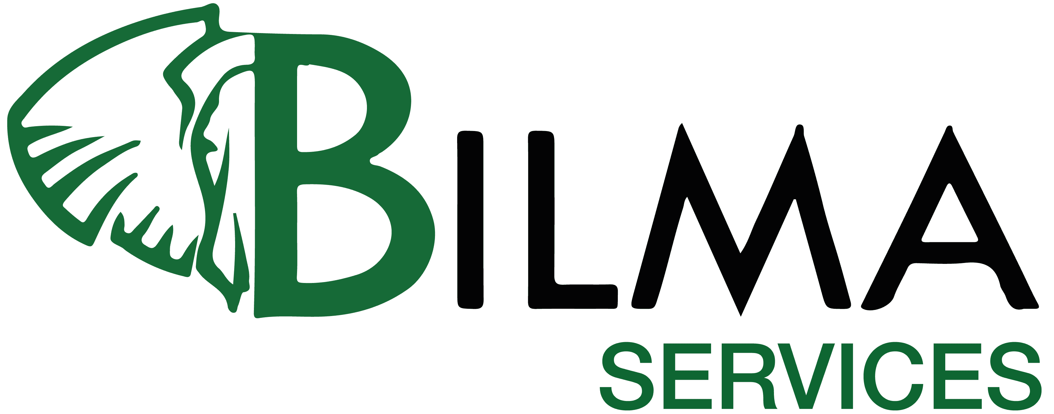 Bilma